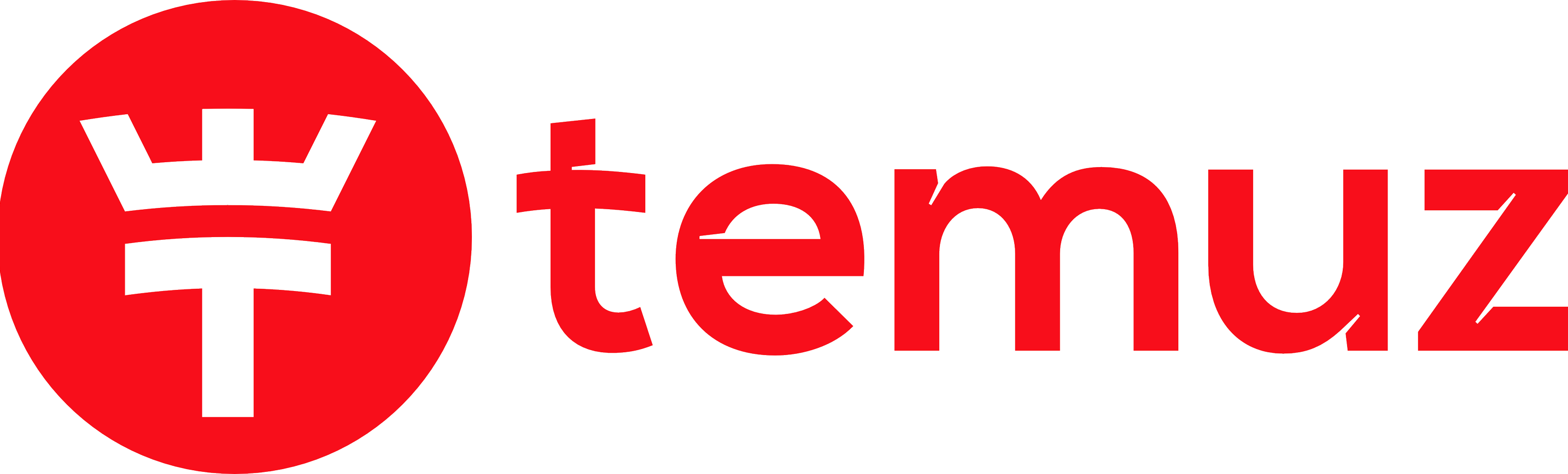 Temuuz logo